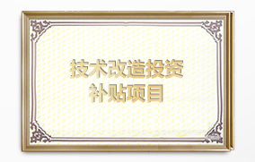 技術(shù)改造投資補貼項目