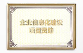 企業(yè)信息化建設(shè)項目資助