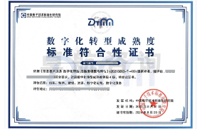 數(shù)字化轉(zhuǎn)型成熟度評(píng)估DTMM 數(shù)字化轉(zhuǎn)型成熟度評(píng)估DTMM